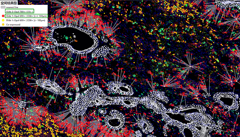 空间邻近 最近关系分析-A