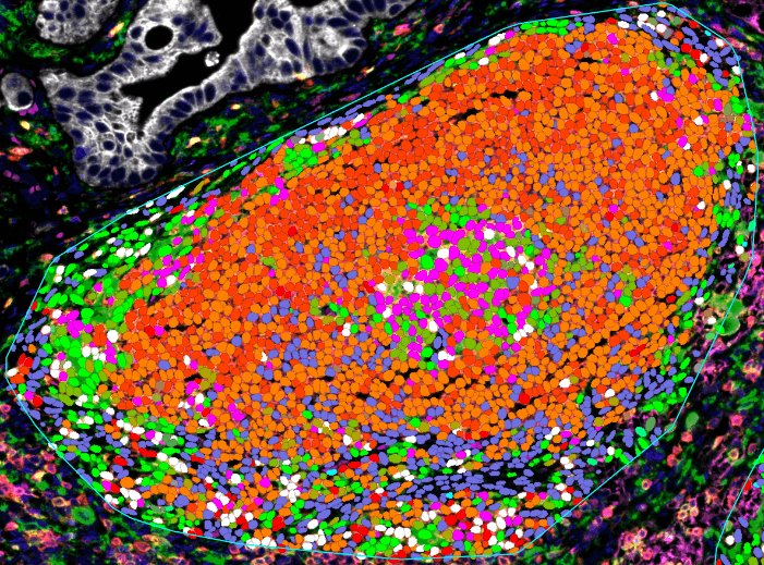 TLS自动识别与分析-B